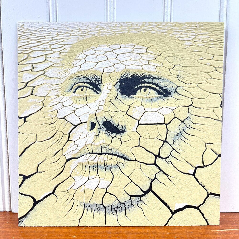 Wall Art, Face in the Desert, Surreal Cracked Earth Face